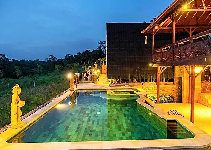 The Pyramid Ubud River ホテル 4*