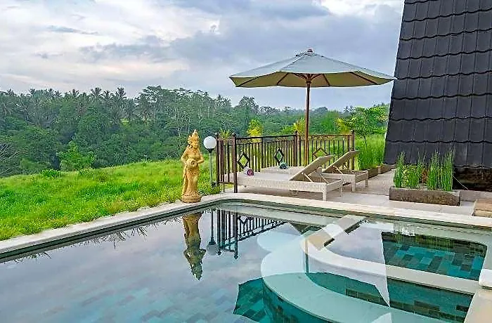 The Pyramid Ubud River 酒店 4*